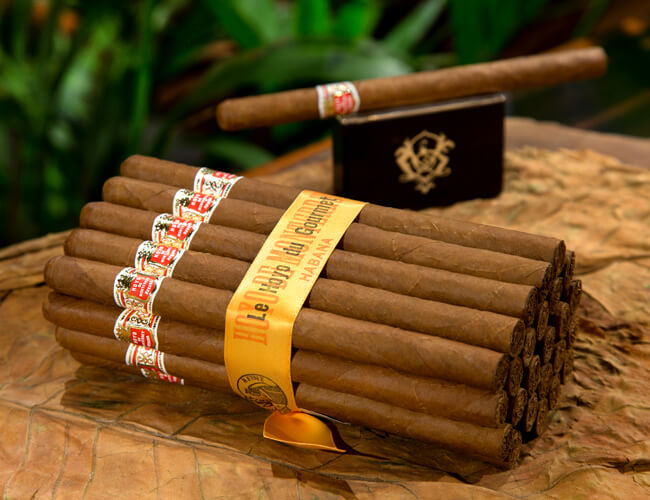 Hoyo De Monterrey «Le Hoyo du Gourmet»