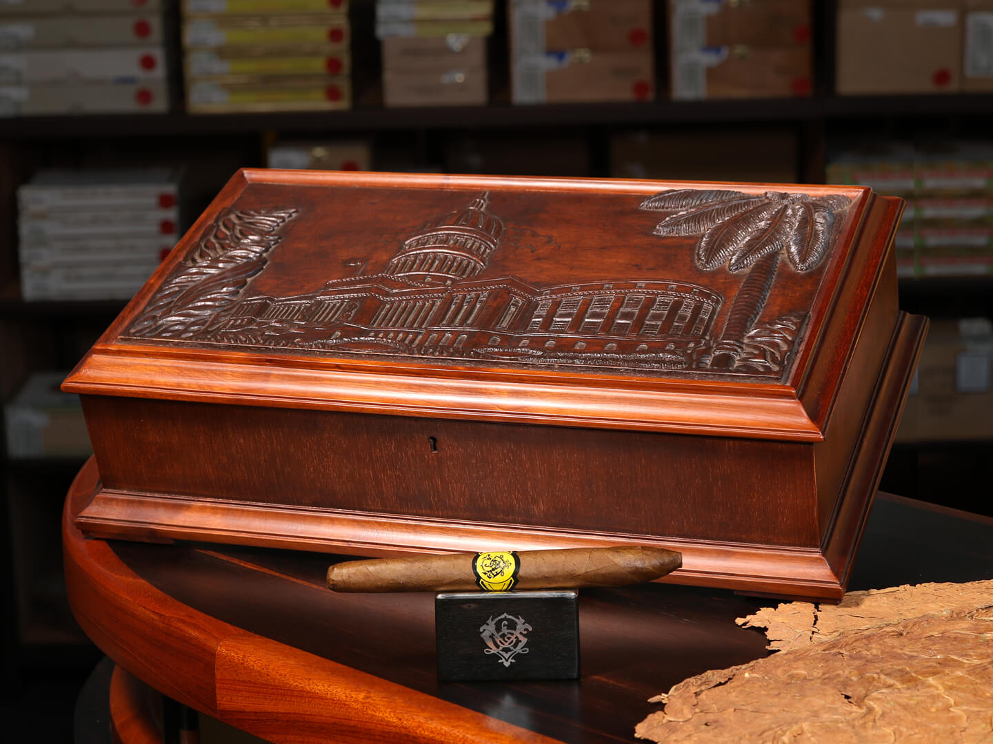 Cohiba Diplomats