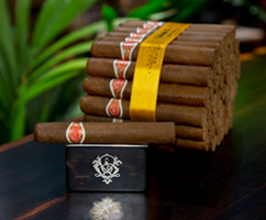 Tasting Evening for the Romeo y Julieta brand