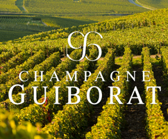 Discovering Champagne 