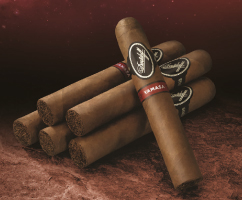 Davidoff expériences by House of Grauer