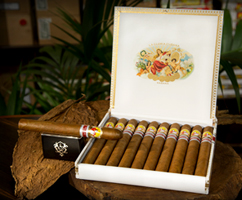 Tasting evening for two new cuban cigars 