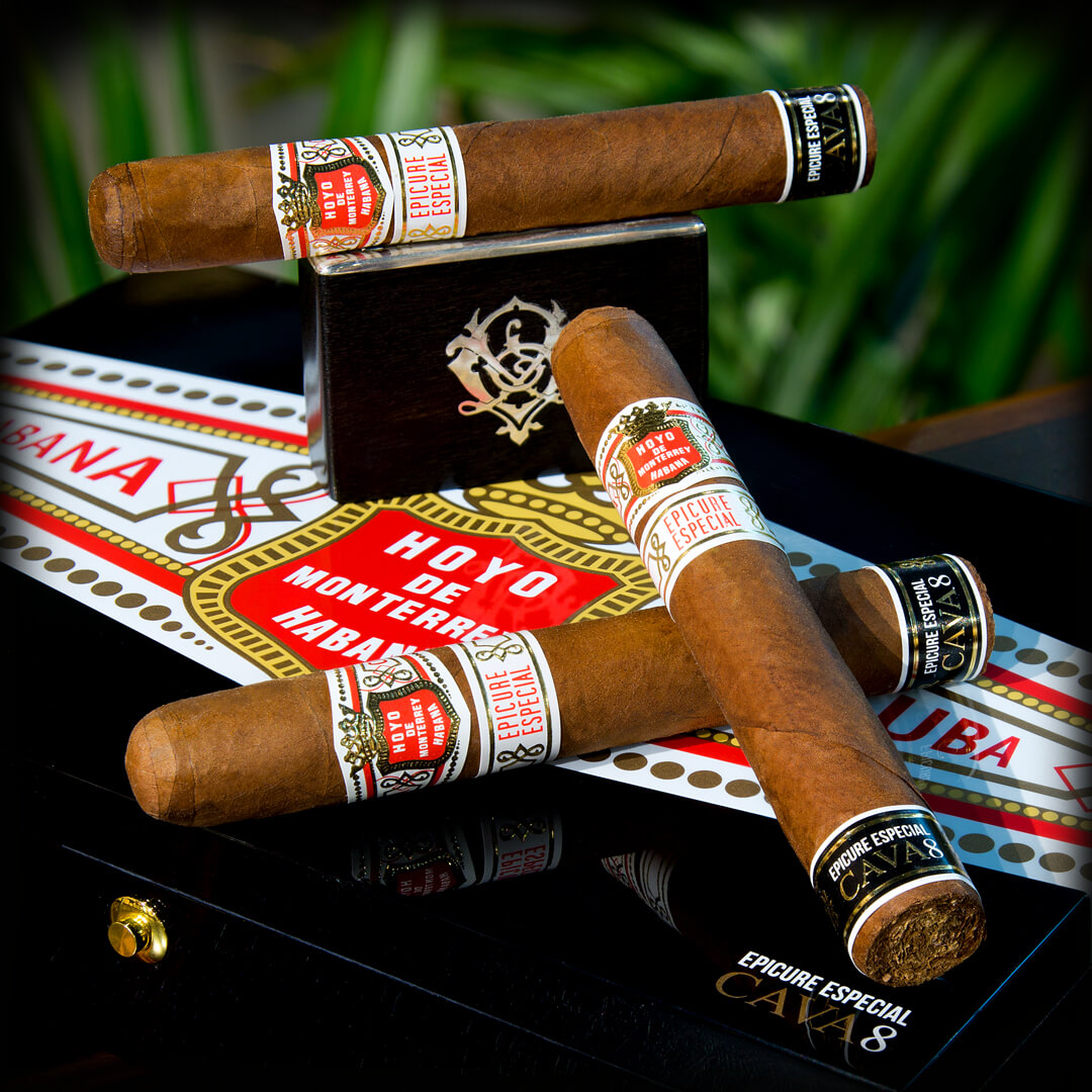 Hoyo de Monterrey Epicure Especial Cava 8