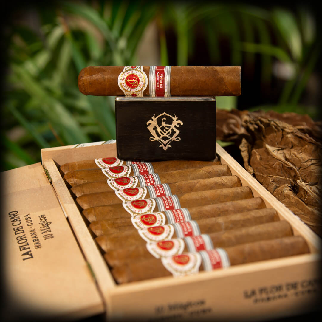 La Flor de Cano Mágicos Edición Regional España 2018