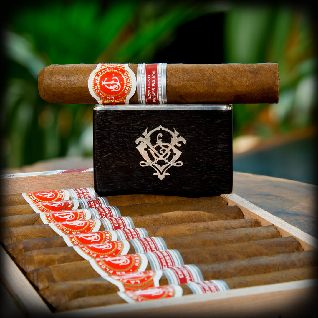 La Flor de Cano Robusto Edición Regional Países Bajos 2018