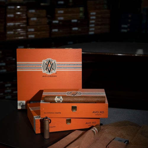 the-house-of-grauer-davidoff-5.jpg