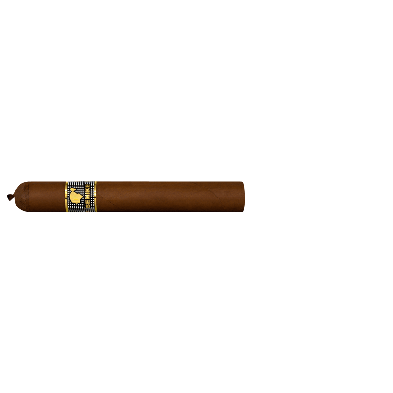 behike-bhk-56-stick