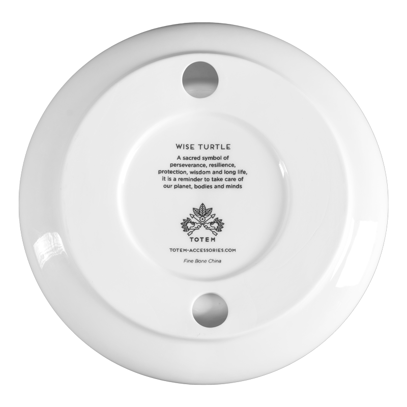 ashtray-wise-turtle-piece