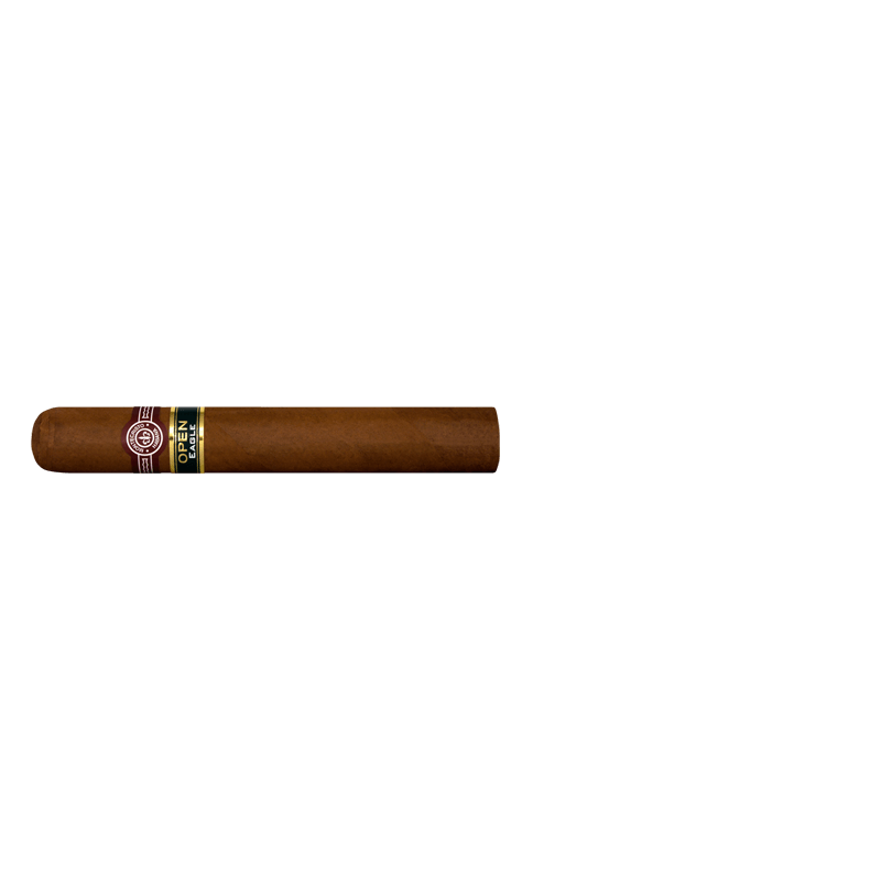 open-eagle-stick