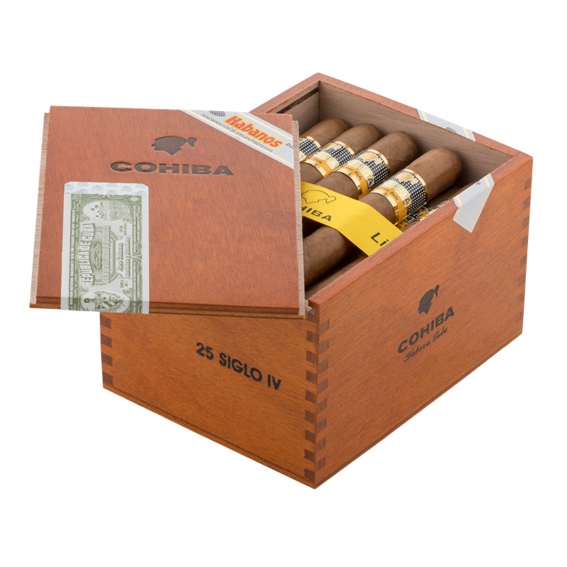 linea-1492-siglo-iv-box