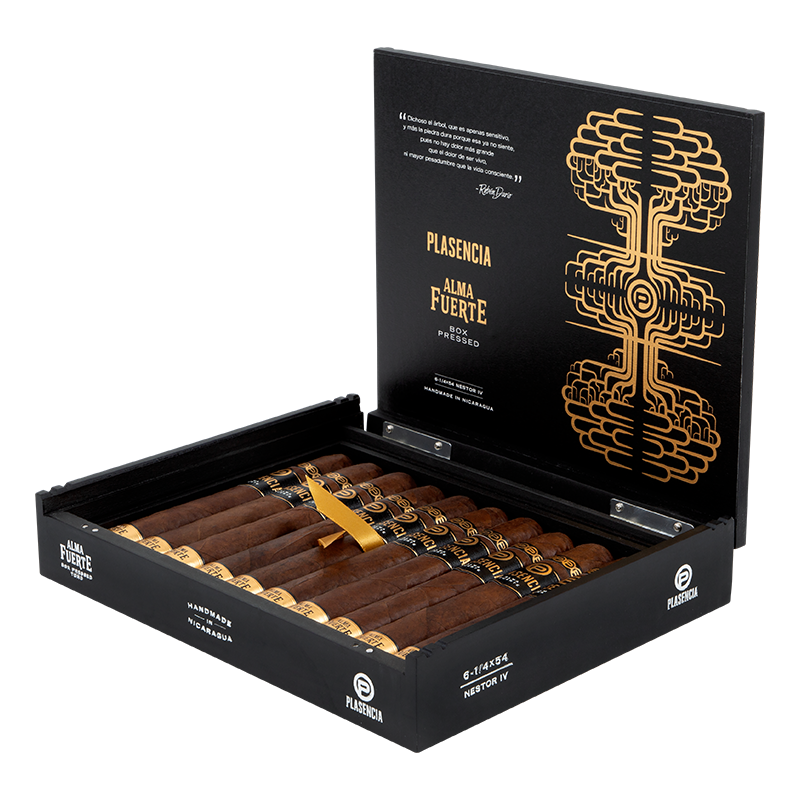 PLASENCIA ALMA FUERTE - NESTOR IV Box 10