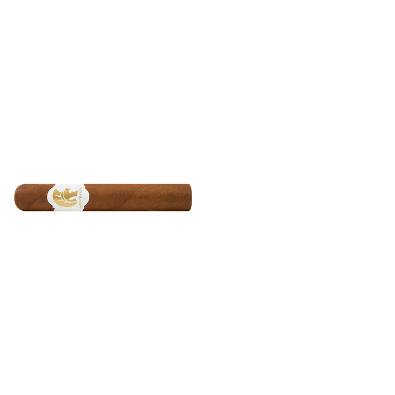 MAESTRANZA CONDE Stick