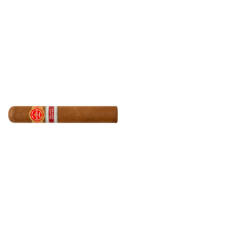 JUAN LOPEZ GRAN PATAGON - 2021 - CONO SUR    Stick