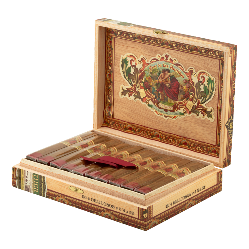 FLOR DE LAS ANTILLAS BELICOSO Box 20