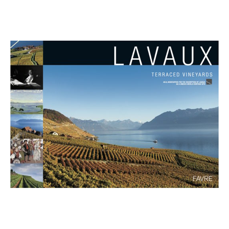 PAYOT LAVAUX, TERRACED VINEYARD Piece